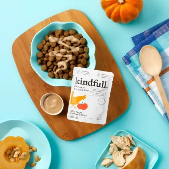 Chicken and Pumpkin Flavor Puree Pouch Dog Treat - 2.47oz - Kindfull&trade; image {1}