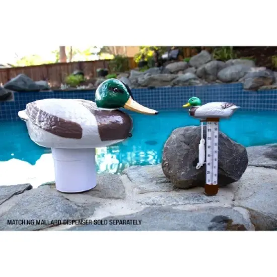 Poolmaster Mallard Duck Floating Swimming Pool and Spa Thermometer image {7}
