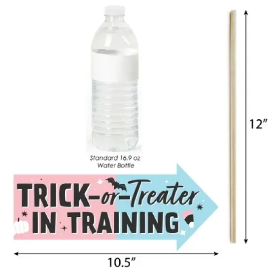 Big Dot of Happiness Funny Boo-y or Ghoul - Halloween Gender Reveal Party Photo Booth Props Kit - 10 Piece image {2}