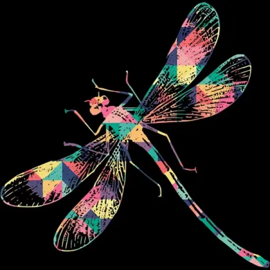 Junior's Design By Humans Dragonfly Abstract Summer Color By BaoMinh T-Shirt image {1}