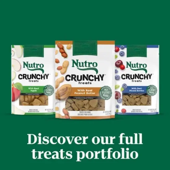 Nutro Mixed Berry Flavor Crunchy Dog Treats image {9}
