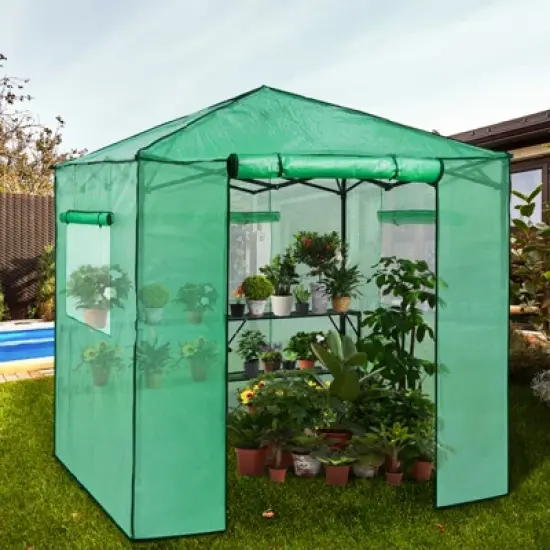 EAGLE PEAK 7'x7' Pop up Greenhouse with 2 Foldable Shelves, Zipper Entry Door and 3 Mesh Windows, Green image {5}