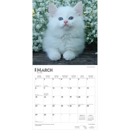 BrownTrout I Love Kittens 2026 12"x24" Hanging Square Wall Calendar Plastic-Free image {2}