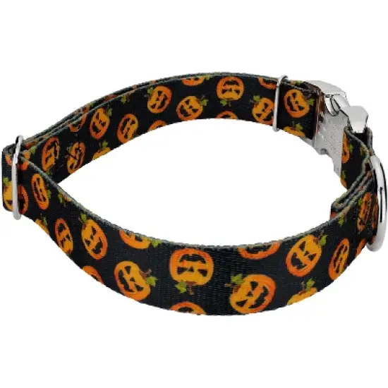 Country Brook Petz Premium Happy Jack Dog Collar image {2}