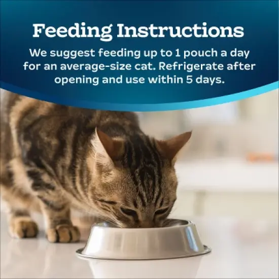 Blue Buffalo Tastefuls Adult Cat Treat Chicken Puree Spouted Pouch - 3oz image {9}