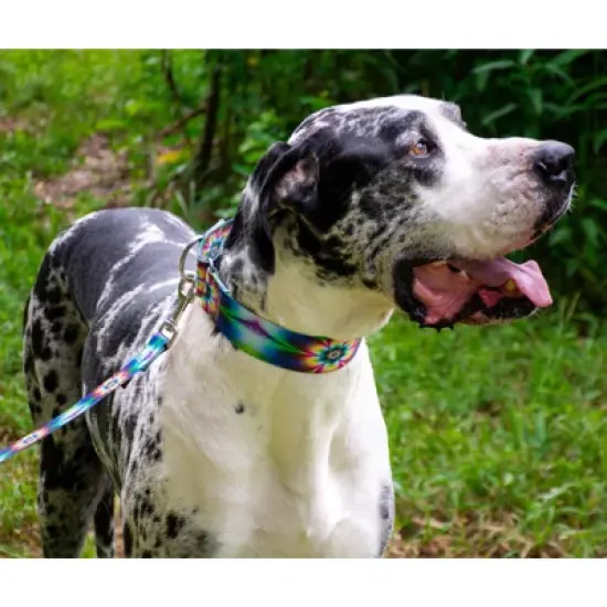 Country Brook Petz Tie Dye Flowers Martingale Dog Collar image {8}