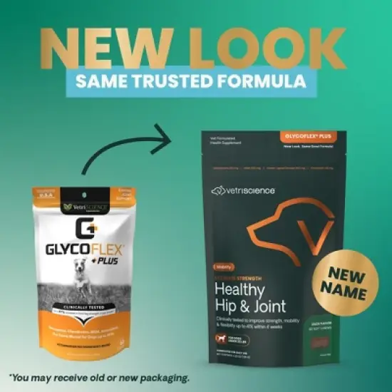 VetriScience Ultimate Strength Healthy Hip & Joint Chews for Small Dogs with Glucosamine Chondroitin and MSM, 60 Count Bag image {1}