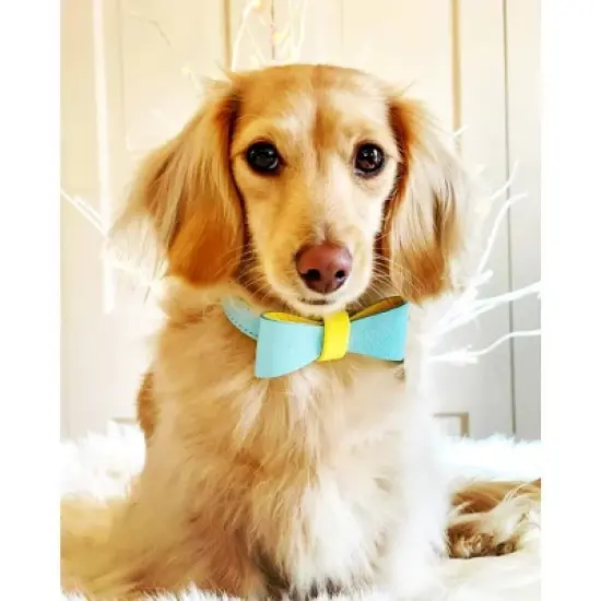 PoisePup &ndash; Luxury Pet Dog Bow Tie &ndash; Soft Premium Leather Bowtie for Small and Large Dogs - Sunshine Babe image {2}