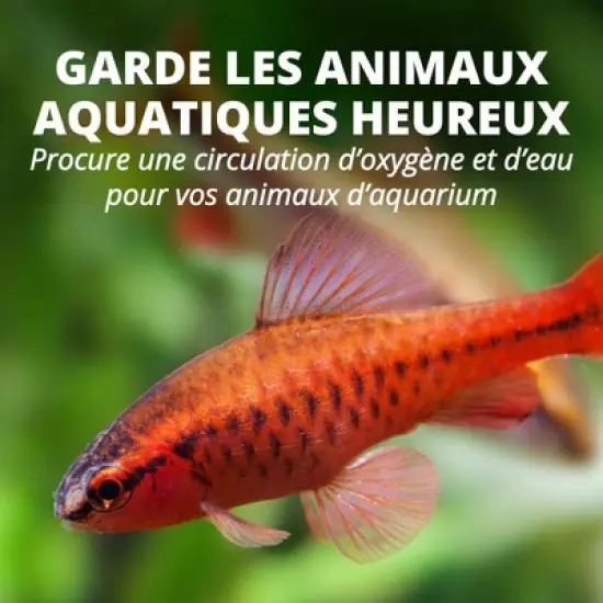 Tetra Whisper Quiet Powerful Airflow Air Pump 2 to 15gal for Aquariums image {14}