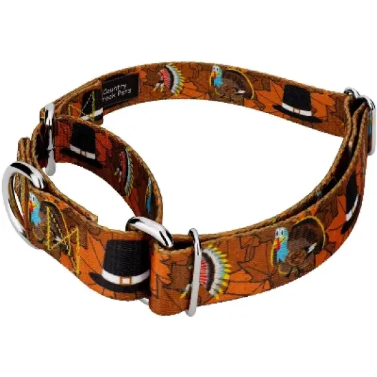 Country Brook Petz Thanksgiving Tradition Martingale Dog Collar image {1}
