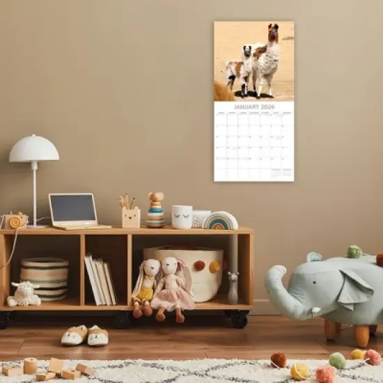 2026 Square Wall Calendar, Llamas, 16-Month Animals Theme with 180 Reminder Stickers (12x12 In) image {1}