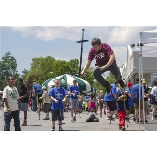 NSG Pogo Flight PG102B image {1}