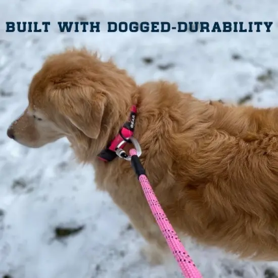 Enthusiast Gear Reflective Rope Dog Leash with Locking Carabiner for Large Medium Small Breeds and Puppy (6&rsquo; Feet) image {3}