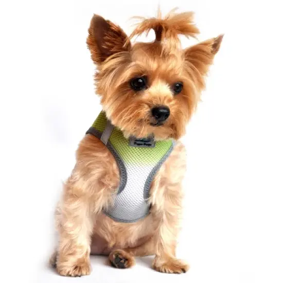 Doggie Design American River Choke Free Dog Harness Ombre Collection-Limestone Gray image {4}