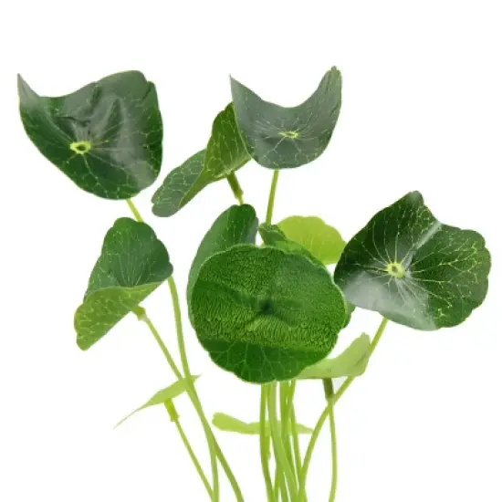 Unique Bargains Plastic Grass Aquarium Fish Tank Decor  Plant Ornament w Ceramic Base Green image {1}