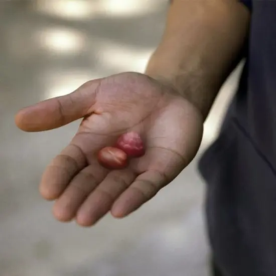 Centrum Men's Multivitamin Gummies image {1}