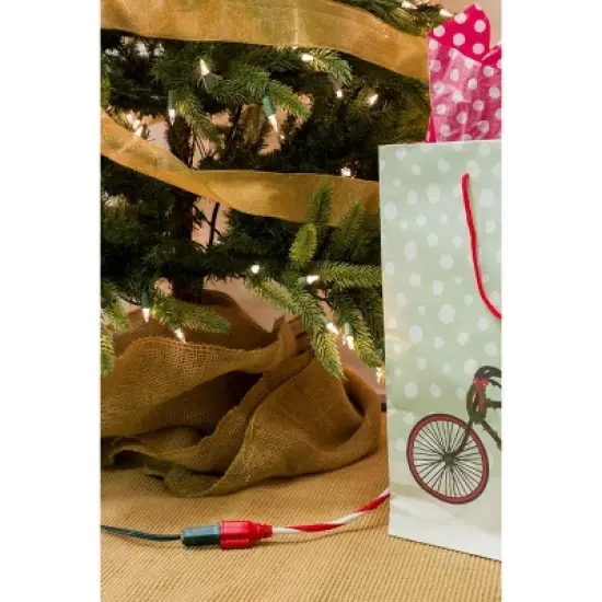 Philips 25' 1-Outlet Grounded Extension Cord Outdoor Candy Cane image {6}