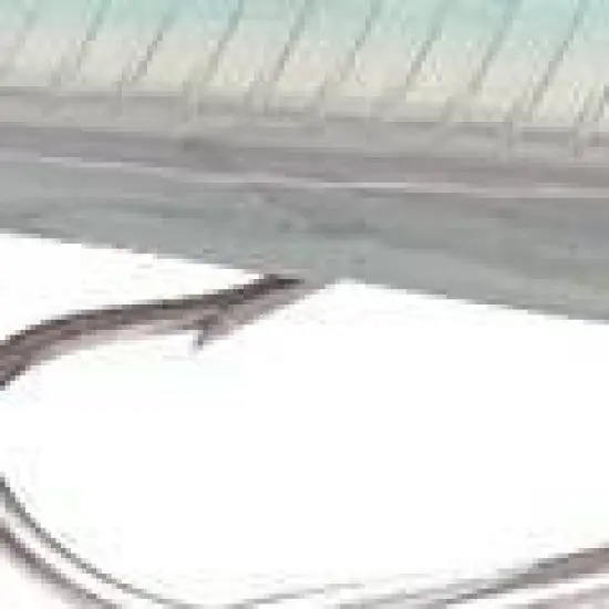 Rapala 5 1/4" X-Rap 14 Saltwater Fishing Lure image {2}