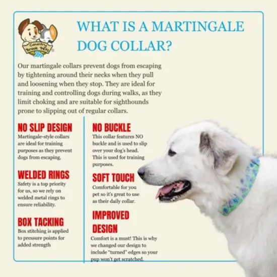 Country Brook Petz HossFit Jr Wide Martingale Dog Collar - Spring Collection image {4}