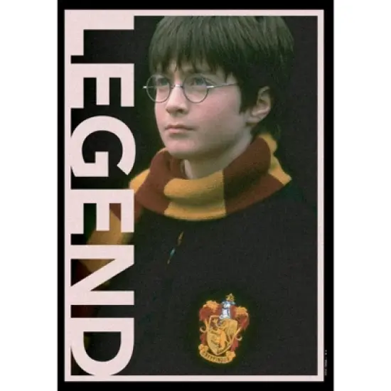 Women's Harry Potter Gryffindor Legend Portrait T-Shirt image {1}