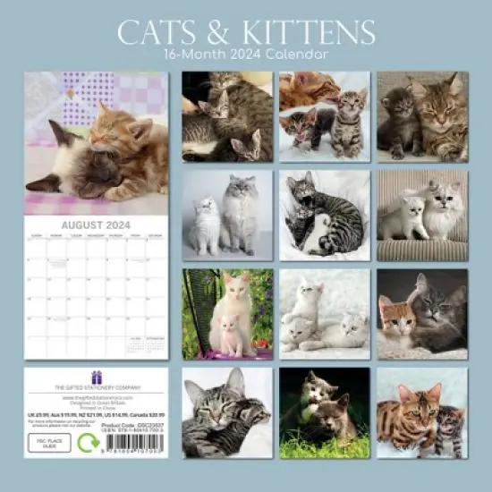 The Gifted Stationery 2024 Square Wall Calendar, Cats & Kittens, 16-Month Animals Theme with 180 Reminder Stickers (12 x 12 In) image {3}