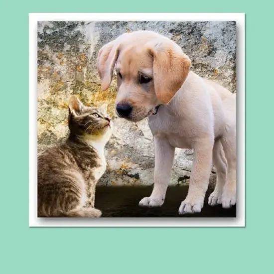 Hamilco Card Stock Scrapbook Paper 12x12 Cream Colored Cardstock Heavyweight 130lb Cover &ndash; 25 Pack image {3}