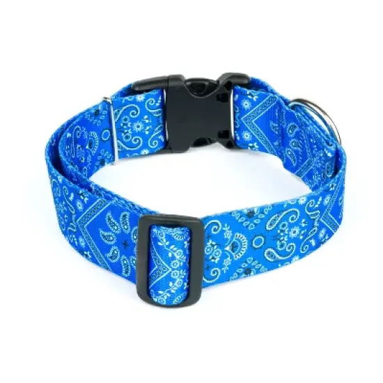 Country Brook Petz HossFit Jr Wide Deluxe Dog Collar - Country and Western Collection image {3}