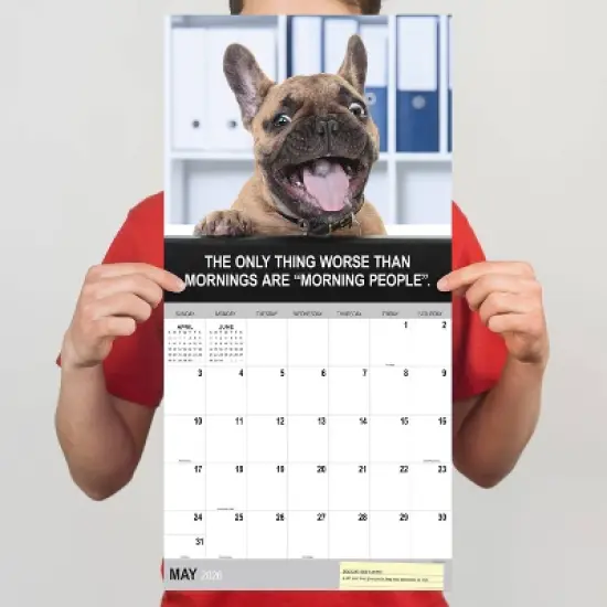 TF Publishing 13.5"x14.5" 2026 Desk Dogs Wall Calendar image {3}