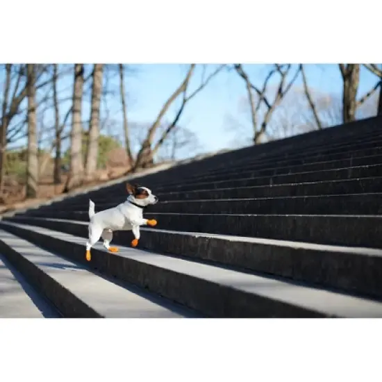 Pawz 12pc Rubber Dog Boots image {8}