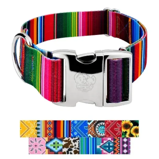 Country Brook Petz HossFit Jr Wide Premium Dog Collar - Country and Western Collection image {5}