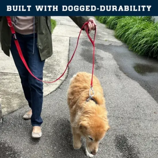 Locking Carabiner Nylon Dog Leash &ndash; 1 or 2 Handle &ndash; Enthusiast Gear image {9}