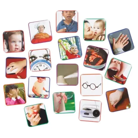Kaplan Early Learning Company Our Five Senses Interactive Game image {2}
