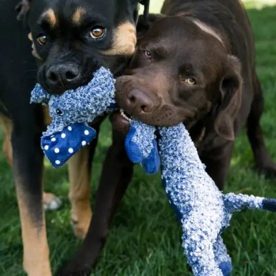 KONG Shakers Elephant Dog Toy - S image {1}