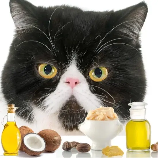 The Blissful Cat Nose Butter image {5}