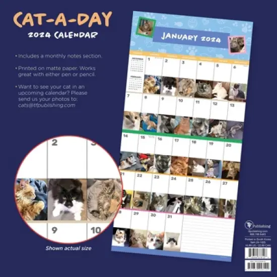 TF Publishing 2024 Wall Calendar 12"x12" Cat-A-Day image {4}
