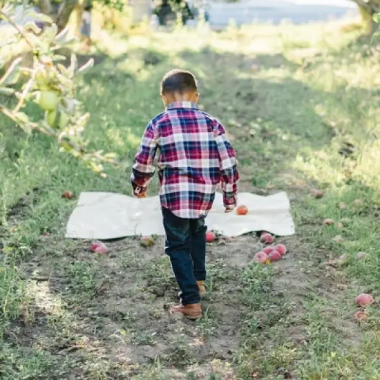 Hope & Henry Boys' Organic Cotton Long Sleeve Brushed Cotton Flannel Button Down Shirt, Infant image {3}