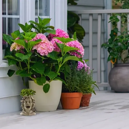 Darware Resin Medusa Head Planter, Garden Decor Statue Flower Pot image {4}