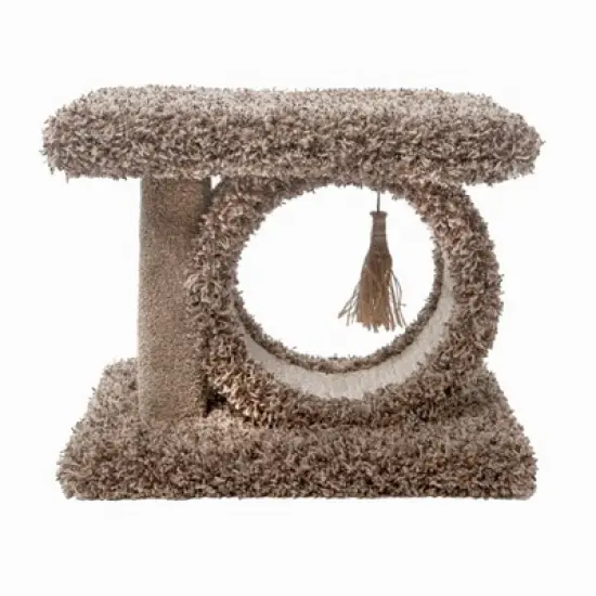 Beatrise Pet Products Kitty Carnival Cat Scratcher House - 16" image {3}
