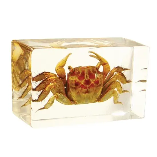 Kaplan Early Learning Animal & Plant Specimen Sets image {1}