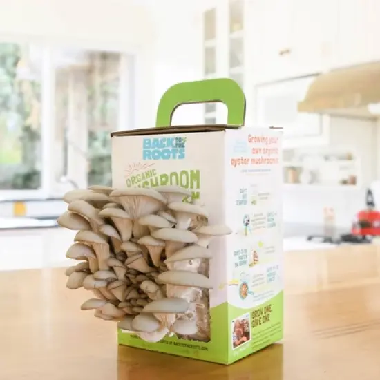Back to the Roots Organic Mushroom Mini Grow Kit Pearl Oyster image {4}