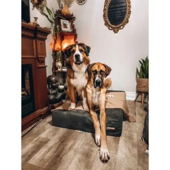 Big Barker 7" Orthopedic Dog Bed - Sleek Edition image {1}