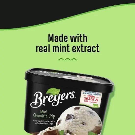 Mint Chocolate Chip Ice Cream - 48oz - Breyers image {2}