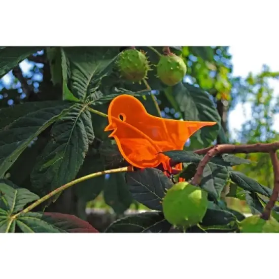 XXD Astwart Plastic Bird Feeding Station/Tree Decoration, Orange image {2}