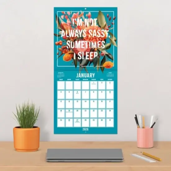Trends International 2026 Everyday Sass 12"x12" Wall Calendar image {4}