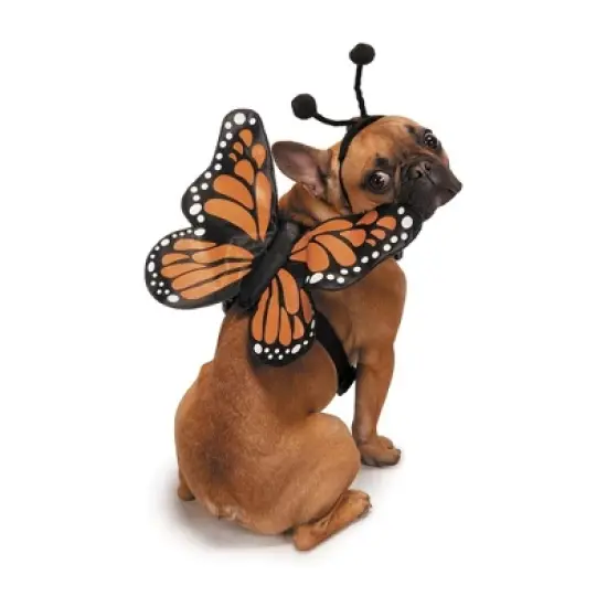 Zack & Zoey Butterfly Glow Harness Costume for Dogs image {6}