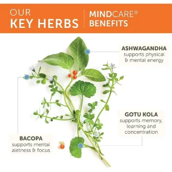 Himalaya StressCare Herbal Supplement, Supports Stress Relief, Ashwagandha, Holy Basil/Tulsi, Gotu Kola, Non-GMO, Vegetarian, 120 Capsules image {3}