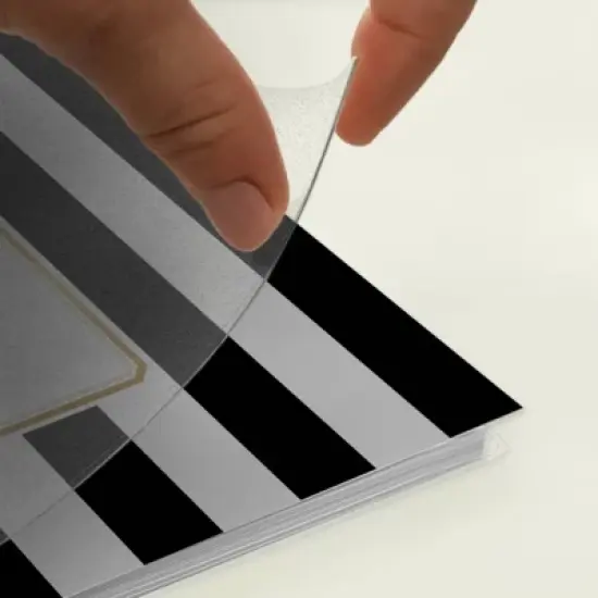 Day Designer 2024 Planner 8"x10" Daily/Monthly Frosted Cover Rugby Stripe Black image {14}