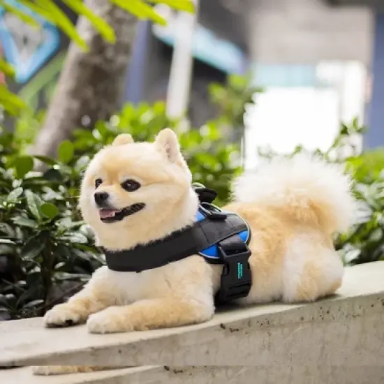 Joyride Harness Premium Advanced No Pull Dog Harness 2.0 image {6}