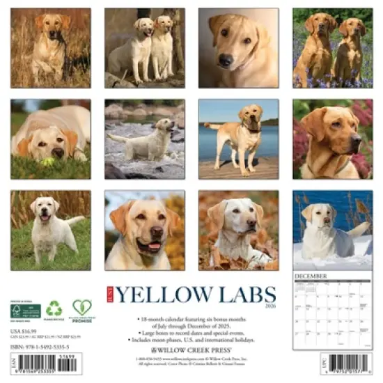 Willow Creek Press 2026 Yellow Labs Wall Calendar image {1}