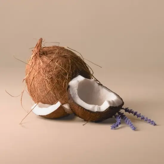 Being Frenshe Women's Eau De Perfume - Lavender Cloud - 2 fl oz image {3}